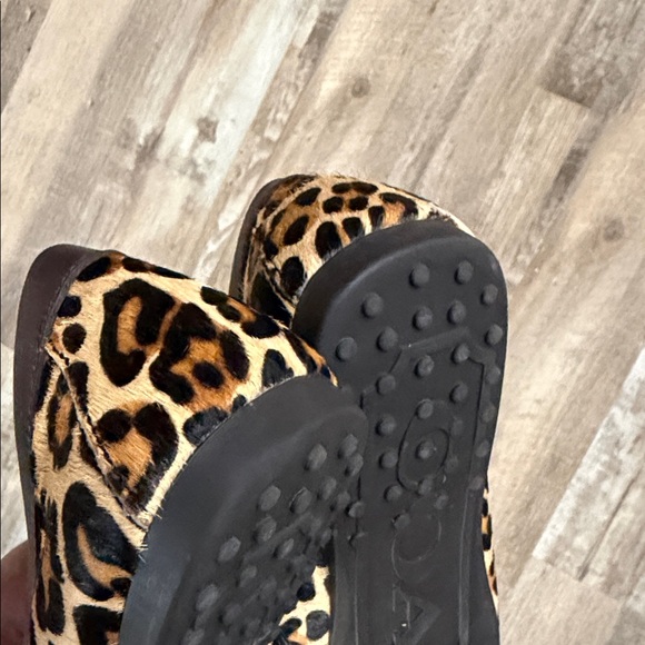 Coach Fredrica Leopard Print Slip-On Loafers - Women's Brown/Beige 8 - Picture 7 of 8